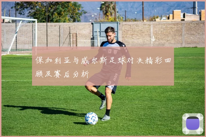 保加利亚与威尔斯足球对决精彩回顾及赛后分析