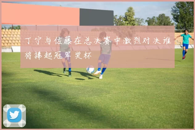 丁宁与佐藤在总决赛中激烈对决谁将捧起冠军奖杯