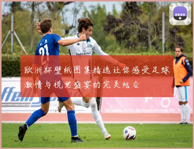 欧洲杯壁纸图集精选让你感受足球激情与视觉盛宴的完美结合